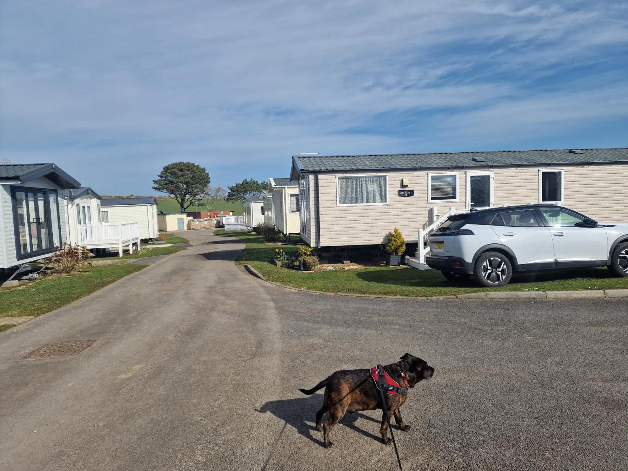 Hotel Durdlee Door, D27, Main Rd, West Lulworth, Wareham Bh20 5Pu Exterior foto